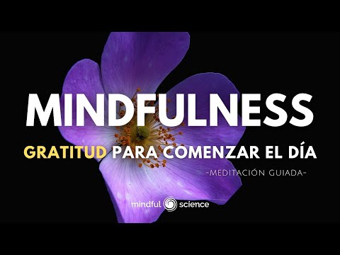 Gratitud para comenzar el día