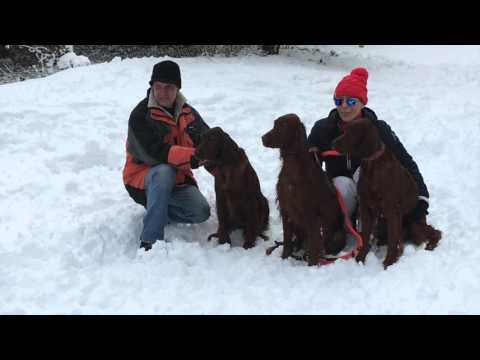 Harjutamine teeb meistriks!