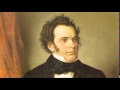 Franz Schubert - Andante con moto 