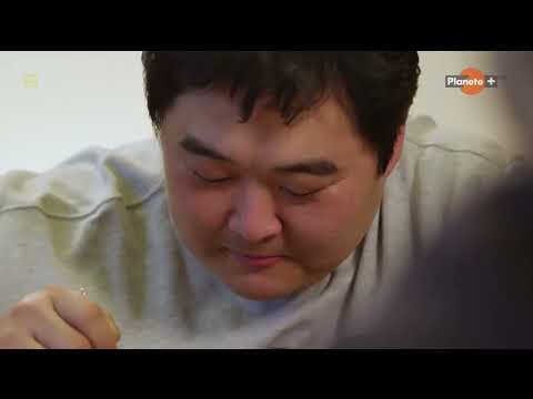 Jak ewoluował człowiek  Odc2