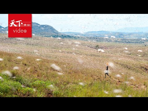 全球暖化｜台灣進入氣候緊急狀態？｜深度專題｜天下雜誌