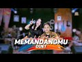 Memandangmu Duet Arrijal Feat Iis Alia Official Dangdut Klasik Cksnd Music Live