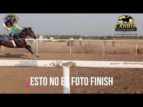 Carreras 6 El Garrabas vs La Avispa