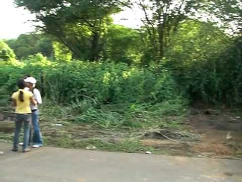 Piques los potocos - Toma general 7