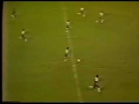 Roberto Dinamite (Vasco) - 29/07/1984 - Vasco 3x0 Friburguense - 2 gols