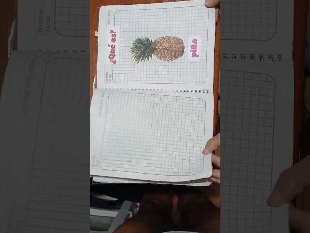 Vídeo relacionado con Lengua - Cuaderno 2