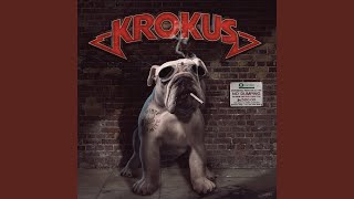 Let The Good Times Roll