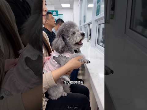 doctor ne sooyi laga di re