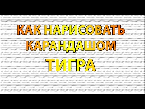 Видео: Как нарисовать ТИГРА карандашом поэтапно для начинающих?