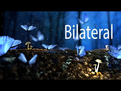 Bilateral Music - Beautiful Piano Orchestral Music with Rain - Relax, Study, Meditate
