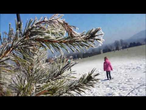 DOMINIK - Jingle bell rock 2016