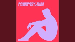 Somebody That I Used To Know (Extended Mix)
