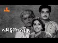 Padunna Puzha Malayalam Full Movie Prem Nazir Sheela Jayabharathi Adoor Bhasi