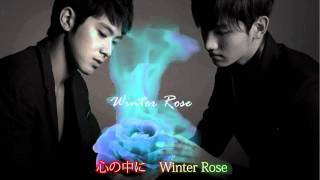 東方神起 NEWシングル 『Winter Rose』 歌詞つき