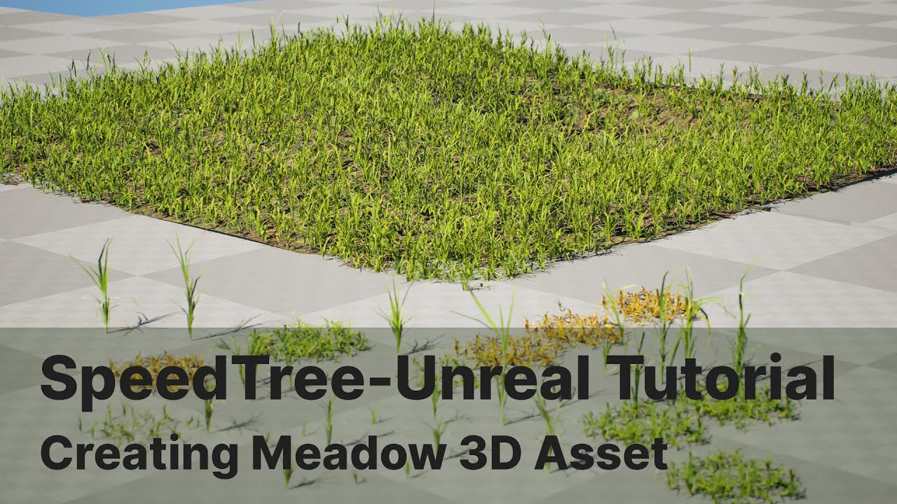 Game-Ready Grass Collection Individual Types Meadow Asset with Free 3D Tutorial 3D Model
