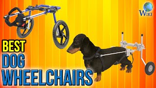 5 Best Dog Wheelchairs 2017