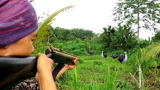 Download lagu BERBURU BURUNG RUAK RUAK DENGAN UKLIK JADUL JARAK JAUH mp3