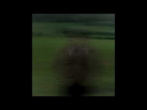 Steinza - High and Dry (Official Audio)