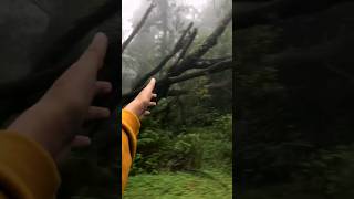 Download lagu நிமிஷங்கள் ஒவ்வொன்றும் வருஷங்களாகும் || Ennai Kanavillaiye netrodu || Tamil Status mp3 Download lagu நிமிஷங்கள் ஒவ்வொன்றும் வருஷங்களாகும் || Ennai Kanavillaiye netrodu || Tamil Status mp3