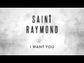 Saint Raymond - I Want You [Official Audio] 