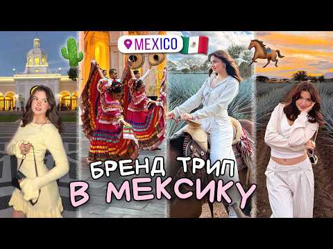 Поездка в Мексику или как делают Текилу ☆