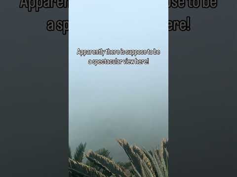 The Shaman’s Forest on Okinawa! #shamanicreiki #shaman