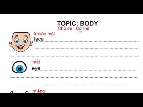 Starters chủ đề Body