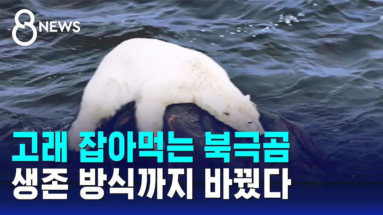 기후 변화가 만든 '혼란'…생존 방식까지 싹 바뀌었다