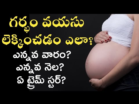 How to calculate pregnancy months in telugu | weeks, months & trimesters calculation in telugu
