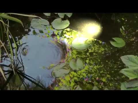 Ethermax Virus Ti pads HD