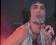 Tribute to Freddie Mercury (Bijou) 