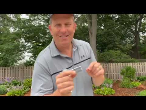 Len Morris Shorts-The Shorts are Back! ep22