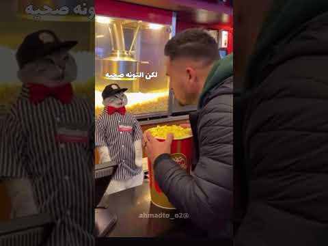 التونا مع البوشاررر #cat #كوميديات #هتضحك #قطط #viral #اكسبلور #funny