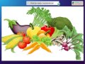 Science Food And Digestion CBSE Class 4 Science IV