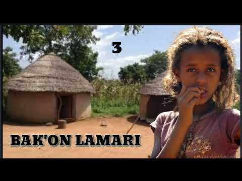 BAKON LAMARI part 3 Hausa Novels Audio