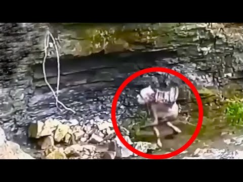 15 Real Elves Caught on Video 😨