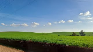 Confira a Previsão do Tempo ⛅️ para esta semana🌡❄️⛅️🌤🌧