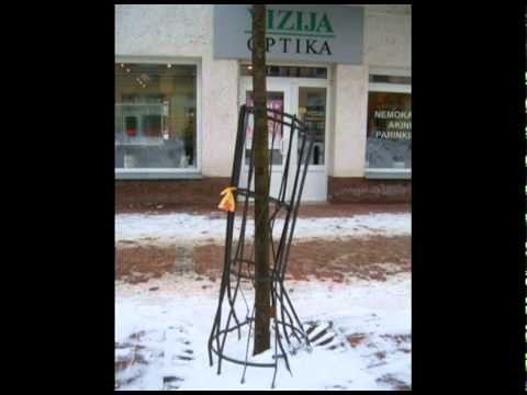 Suniokotas Šiaulių bulvaras / Devastated Boulevard in Šiauliai City