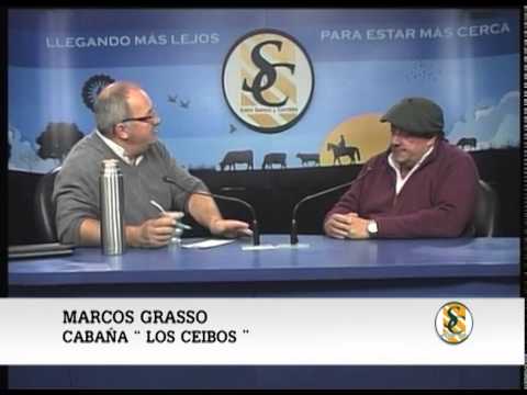 10-08-15 Nota Marcos Grasso -Cabaña Los Ceibos.