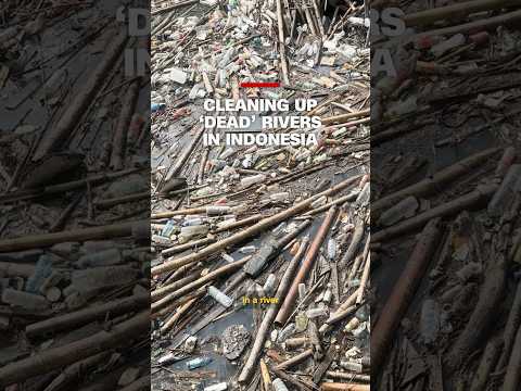 This NGO is cleaning up “dead” rivers in Indonesia