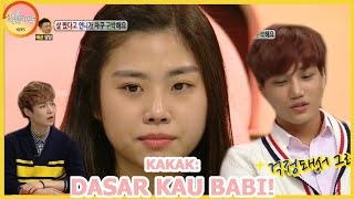 Download lagu Kakak: DASAR KAU BABI! |Hello Counselor|SUB INDO|131014Siaran KBS WORLD TV| mp3