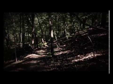 Haunted forest / Ukleta šuma |2016| HD