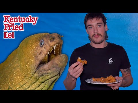 Spearfishing The Undesirables Ep 8 Green Moray Eel