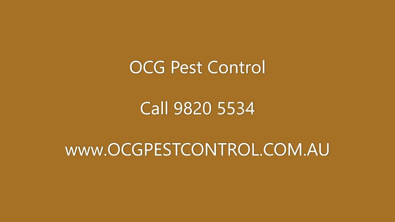 Termite spraying  (2023) - OCG Pest Control Termite barrier spray