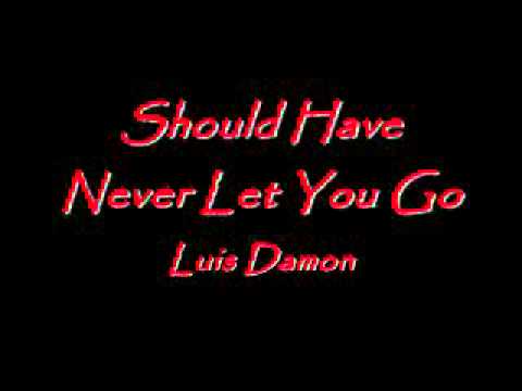 I Should Have Never Let You Go - Luis Damon