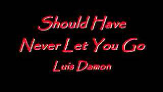 I Should Have Never Let You Go - Luis Damon