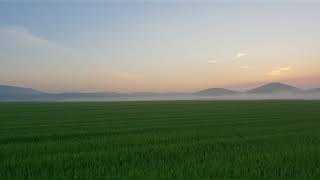 Fenesta che Lucive                             18 07.21