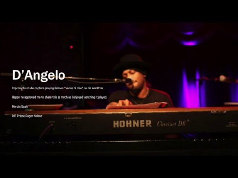 D'Angelo  "Venus Di Milo"