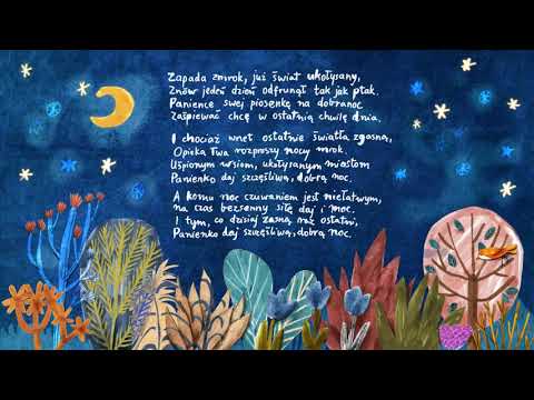 YouTube video preview image