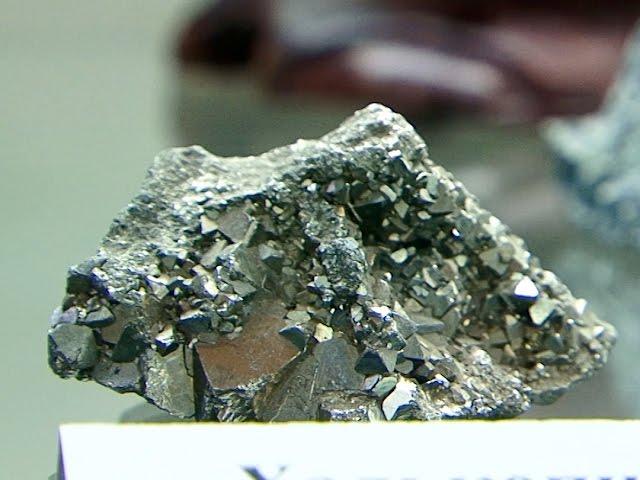 Коллекция путешественника